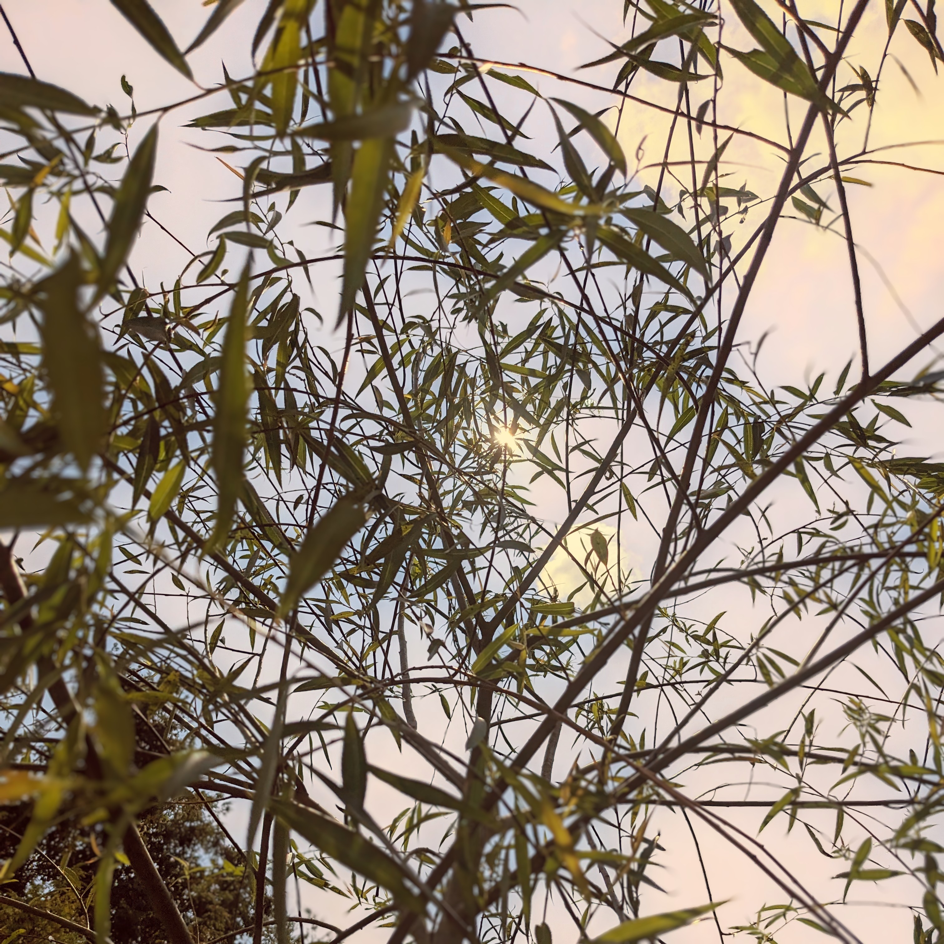 artwork for new music release